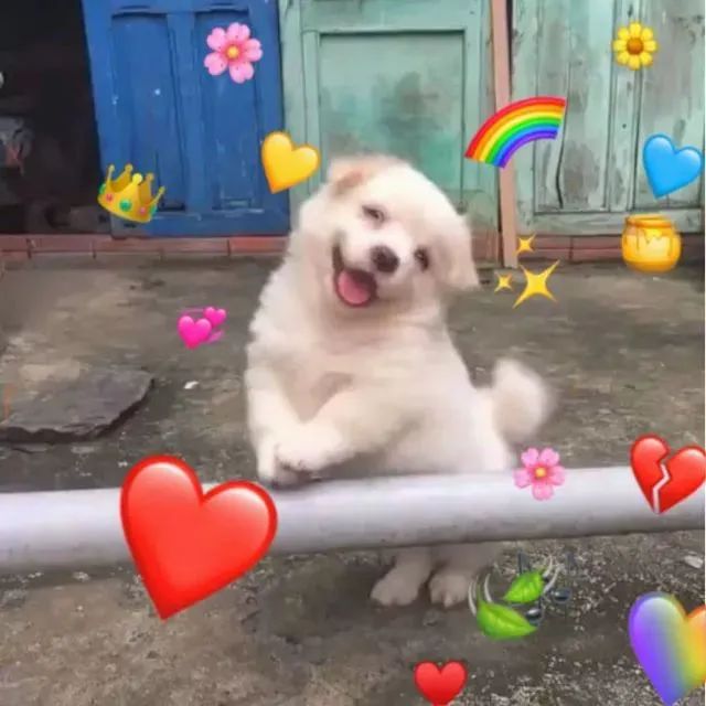 2_$1603721626215076905.jpg 2_$1603721626215076905.jpg