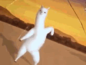 6_$1602990424021014844.gif 6.gif